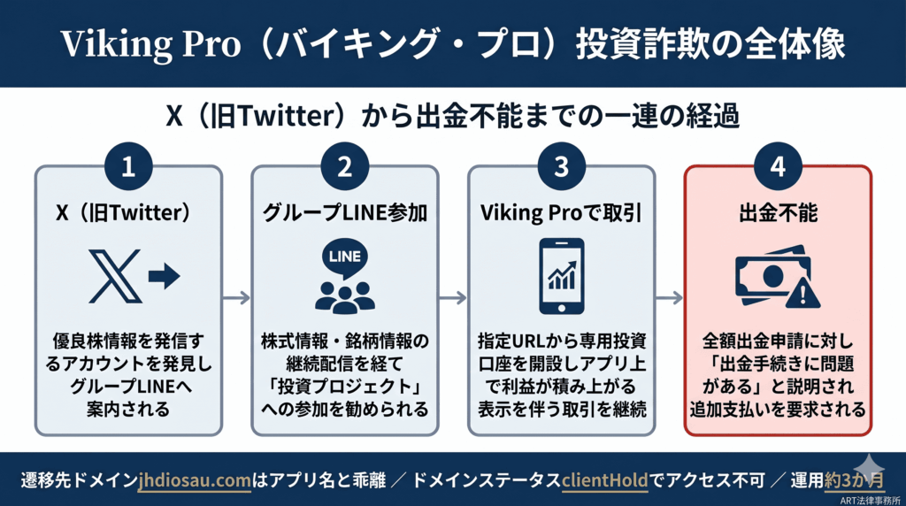 Viking Pro（バイキング・プロ）投資詐欺の全体像のインフォグラフィック