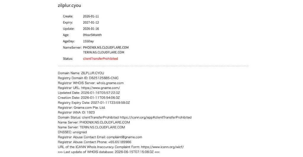 CAPYNEX(zilplur.cyou)のドメイン登録情報(Whois)